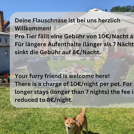 Hw3 - Urlaubsmagie - Helle, Grosse Wohnung Mit Pool Sebnitz Extérieur photo