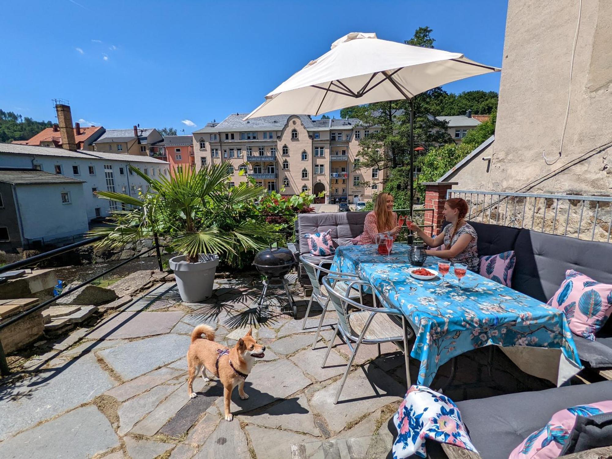 Hw3 - Urlaubsmagie - Helle, Grosse Wohnung Mit Pool Sebnitz Extérieur photo