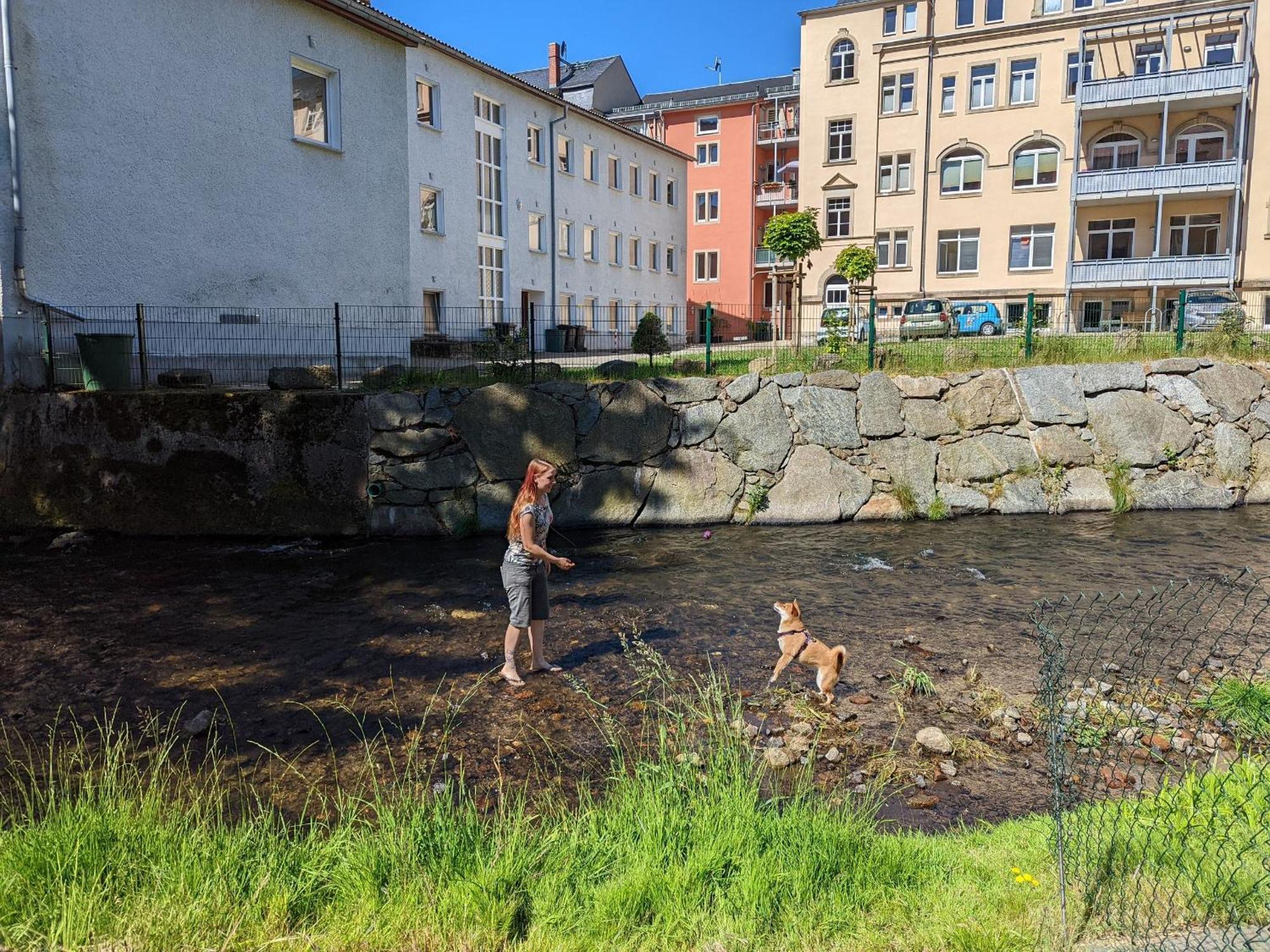 Hw3 - Urlaubsmagie - Helle, Grosse Wohnung Mit Pool Sebnitz Extérieur photo