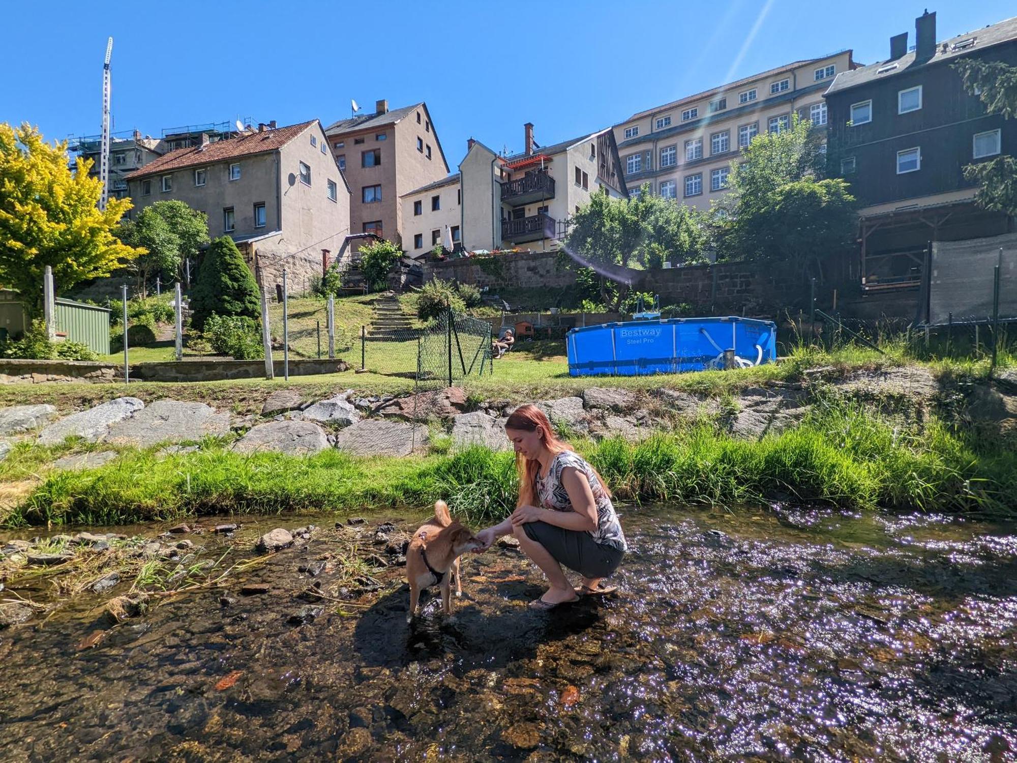 Hw3 - Urlaubsmagie - Helle, Grosse Wohnung Mit Pool Sebnitz Extérieur photo