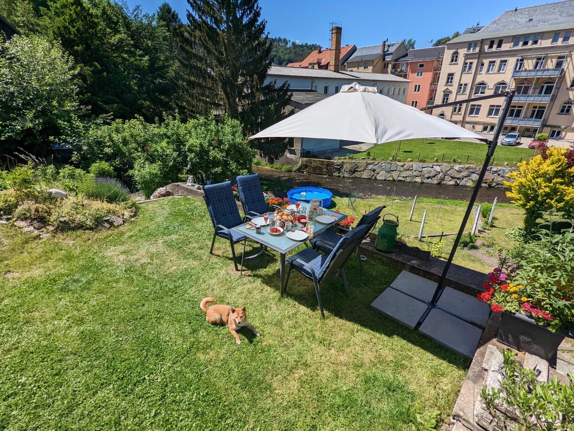 Hw3 - Urlaubsmagie - Helle, Grosse Wohnung Mit Pool Sebnitz Extérieur photo