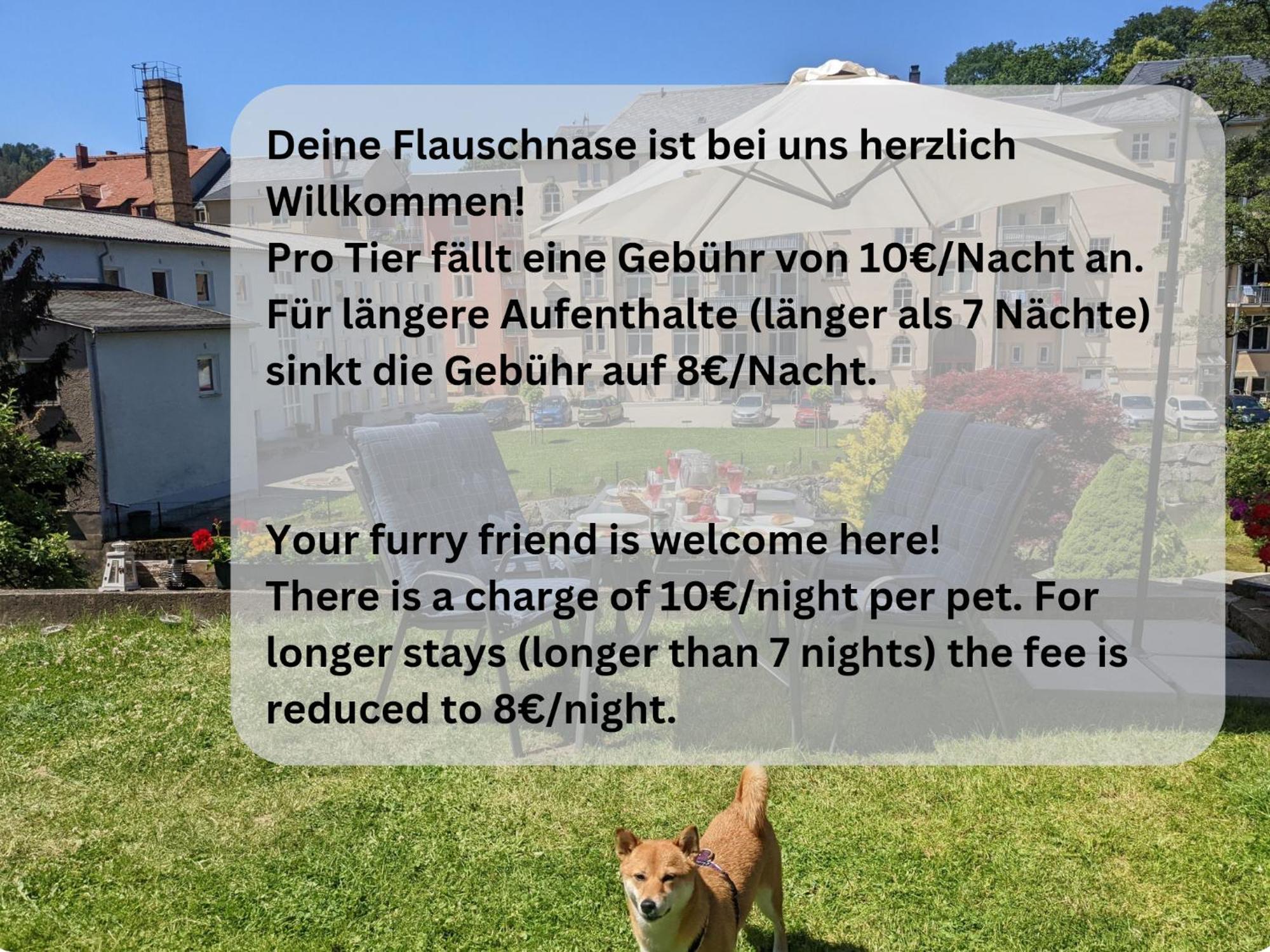 Hw3 - Urlaubsmagie - Helle, Grosse Wohnung Mit Pool Sebnitz Extérieur photo